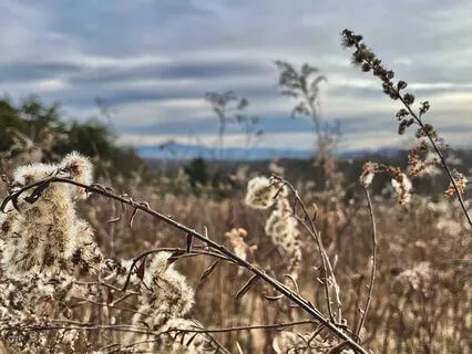 Christian Evening Meditation To Slow Down & Check In