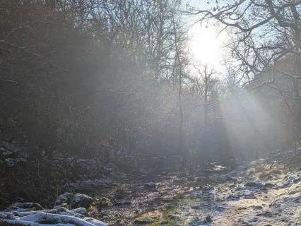 Christian IFS Finding A Trailhead Childhood Neglect