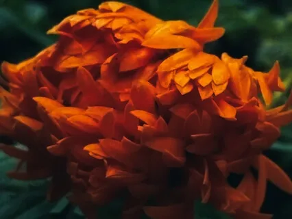 Christian IFS Healing Prayer Guided Meditation