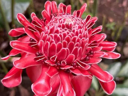 Christian IFS Meditation For Spiritualizing/Self-like Part