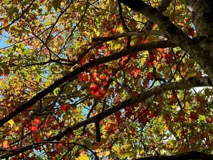 Christian IFS Meditation For Transition Or Change