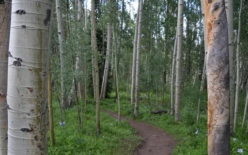 Christian IFS Meditation Parts Mapping Exercise 