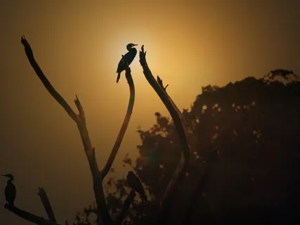 Christian Mantra: "Abba" (Father)