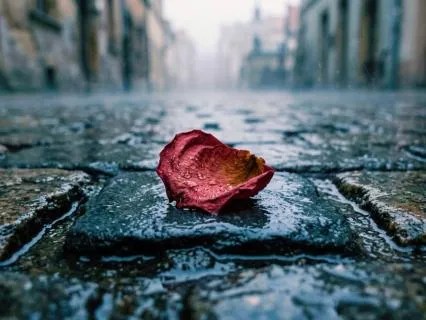 Christian Meditation For Anxiety: Psalm 38