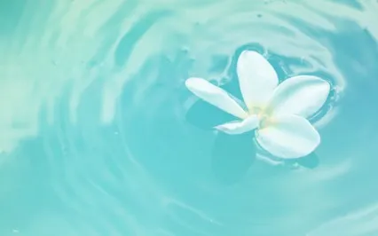 Christian Meditation For Feeling Safe