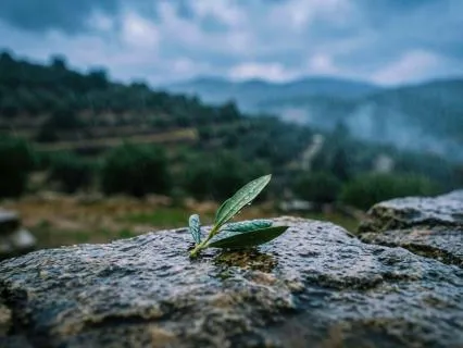 Christian Meditation For Resting In God's Love
