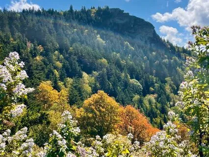 Christian Meditation And Mindfulness To Check In With Stress