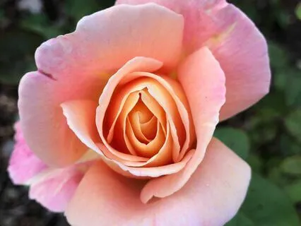 Christian Morning Meditation To Breathe & Pray: Wake Up