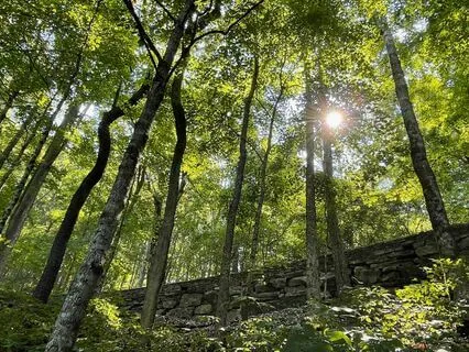 Christian Morning Meditation To Slow Down & Check In