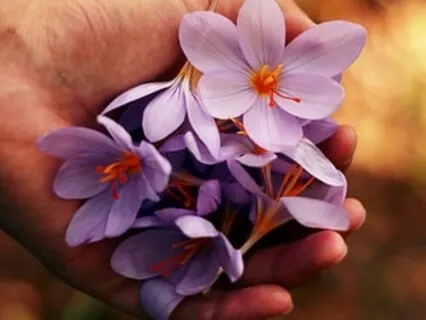 Christian Prayer - A Poetic Rendition of The Lord's Prayer