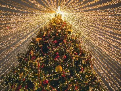 Christmas Day Journaling Practice