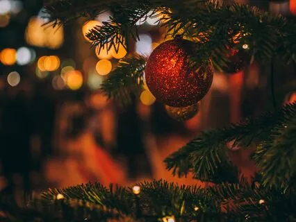 Christmas in Chicago | Cozy Bedtime Story With Fire Sounds