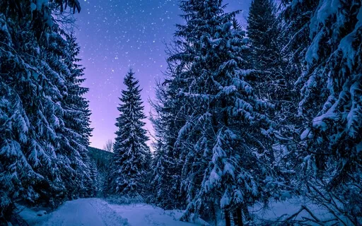 Christmas Meditation (Eight Minute Meditative Soundscape) 