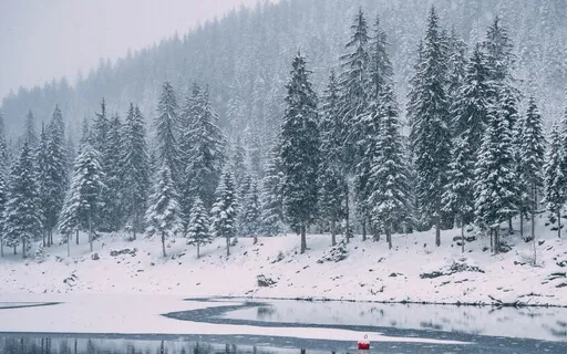 Christmas Meditation (Five Minute Meditative Soundscape) 