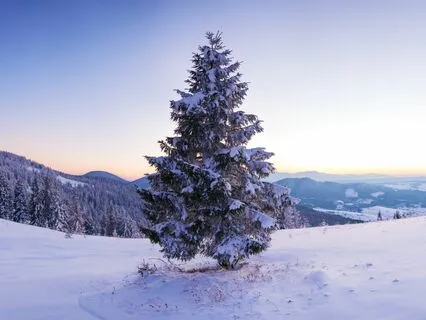 Christmas Meditation Music - Winter Lights - Happy Holidays