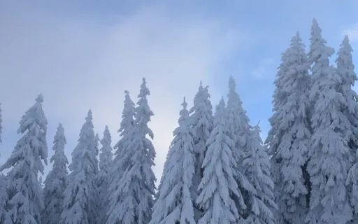 Christmas Meditation (Seven Minute Meditative Soundscape)