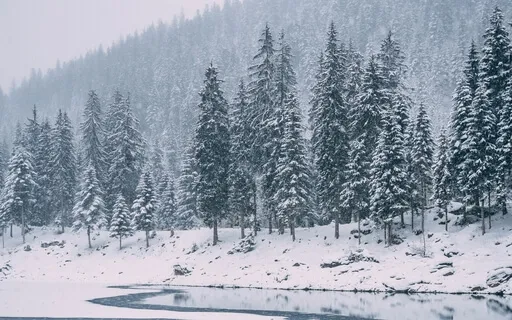 Christmas Meditation (Ten Minute Meditative Soundscape)