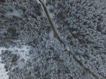 Christmas Polar Express: A Stress-free Christmas