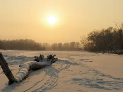 Christmas Winter Night - Nature Sounds For Relaxation, Meditation, Studying, & Deep Sleep