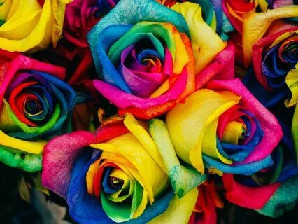 Chromabreath | Color Breathing For Balance