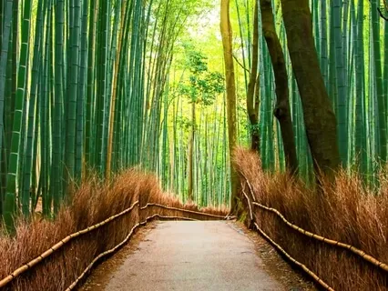 Chronic Fatigue And Self Care