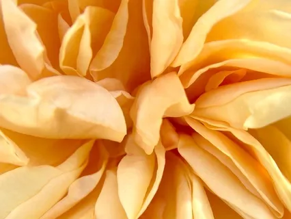 Chronic Illness Series: An Alternative Affirmation Practice