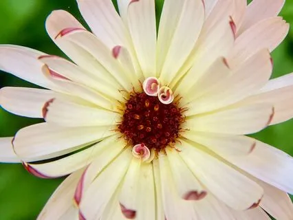 Chronic Illness Series: Restoring Flow In The Body