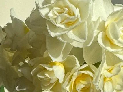 Chronic Illness Series: Self Compassionate Breathing