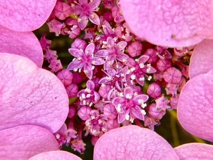 Chronic Illness Series: Starting A New Day