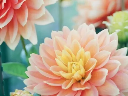 Chronic Illness Validation & Empowerment