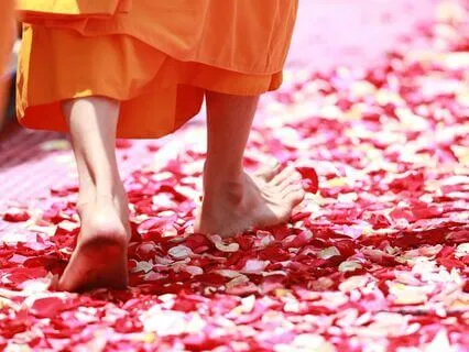 Chronicles Of The Buddha: Infinite Within, A Bedtime Story