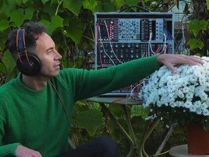 Chrysanthemum – 432Hz Plant Frequencies For Inner Peace