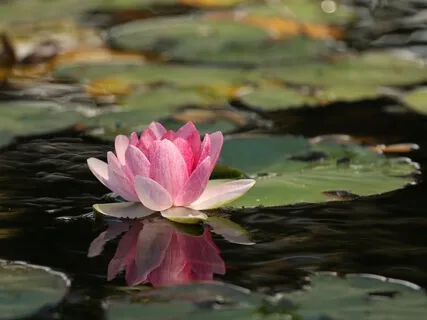 Что Такое Медитация?