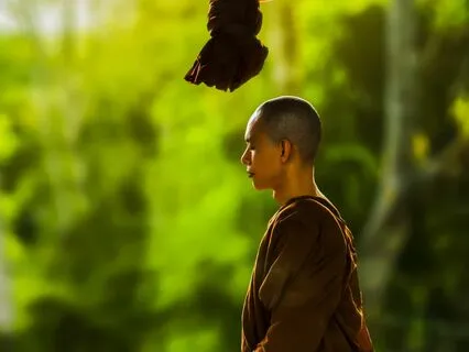 Chuang Tzu’s Butterfly Dream: A Bedtime Story