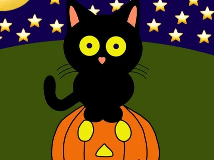 Chuck Taylor: A Black Cat’s Tale