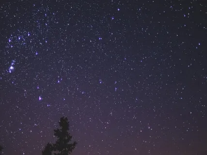 Cicada Serenade (Extended Length)