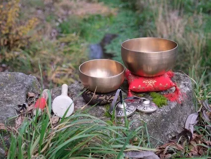 Cicadas With Singing Bowls 1
