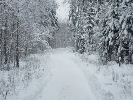 Cinematic Christmas Magic For Celebration And Dancing