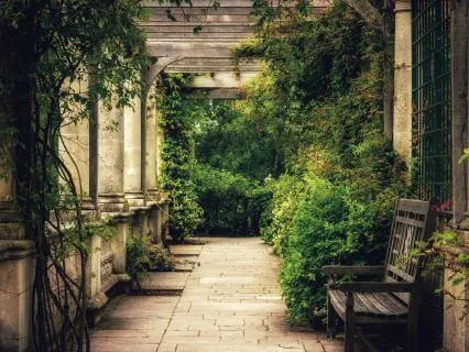 Circadian Rhythm | Gentle Sleep Reading