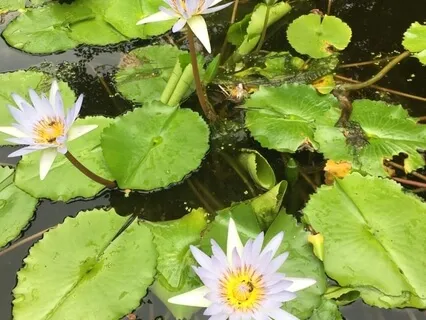 Circle Of Kindness (Part 1)