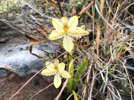 Circle Of Kindness (Part 2)