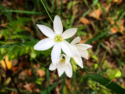 Circle Of Kindness (Part 3)