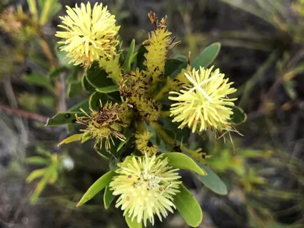 Circle Of Kindness (Part 4)