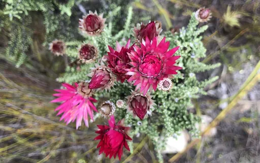 Circle Of Kindness (Part 6)