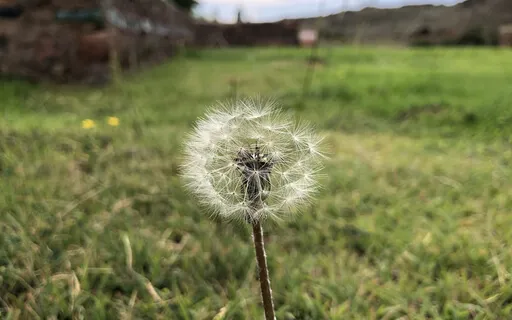 Circle Of Kindness (Part 7)