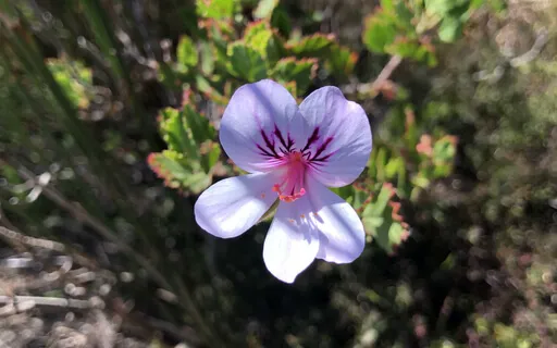 Circle Of Kindness (Part 8)