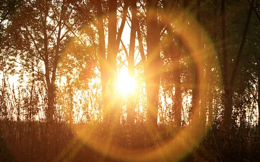 Circle Of Light  (Guided Meditation)