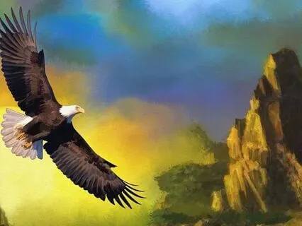 Circle Of Tenan Inspired Yoga Nidra