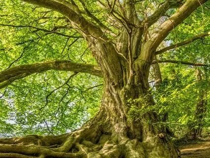 Circle Of Trust: Connecting Self, Others, And The World