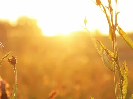 Circle Of Women Meditation